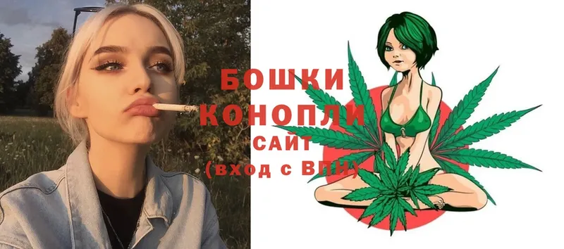 Бошки марихуана THC 21%  hydra ссылка  Салават  купить наркотики цена 